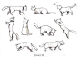 #绘画学习# 
一组猫动态绘画素材！速速收起来，以后可以画猫吸啦！ ​​​​