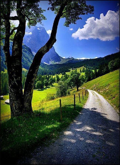 Mountain Valley, Ber...