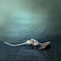唯美哥特范儿：Brooke Shaden作品赏析（一） - 人像摄影 - CNU视觉联盟