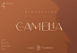 Camelia Sans – Unique Typeface