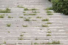 长满苔藓和草的白色楼梯