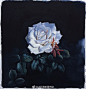 画家 黄有维 花卉水彩作品/水彩