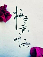 有一种书法字体特别美，一般人确实写不出来