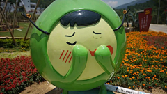 大白花鱼采集到美陈