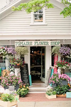 紫罗兰女王采集到花店