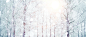 雪景,淘宝,博客,广告,banner,高清,白色,冬天,海报banner,摄影,风景图库,png图片,网,图片素材,背景素材,3595061@北坤人素材