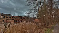 前造纸厂
