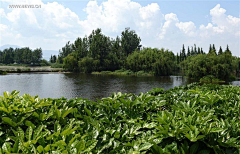 陳z小姐采集到生态湖