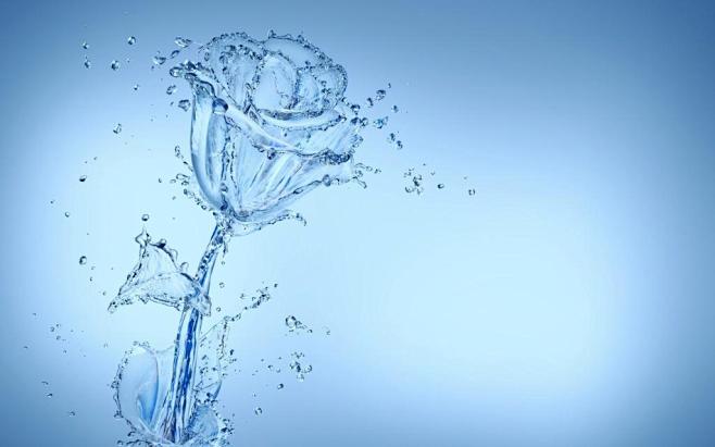 水组成的花的搜索结果_百度图片搜索