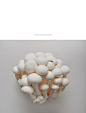 color＋food＋design : mushroom