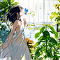 【唯美清新感】画师·海島千本·作品欣赏【82P】-二次元-微元素 - Element3ds.com!