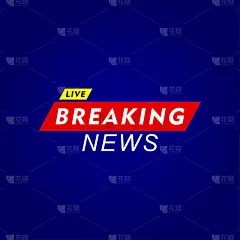 徽章信息的突发新闻向量