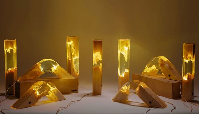 Wood and Resin Lamp ...