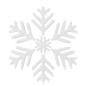 Snowflake  3D Icon