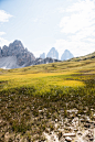 drei zinnen tre cime di lavaredo Italy alps Alpen Nikon D800 natur summer