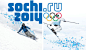 2014年索契冬奥会视觉设计