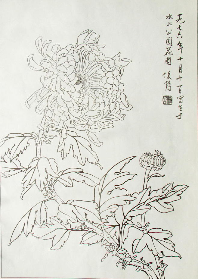 凌达发图---百花白描图稿四开本（63P...