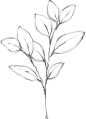 唯美金箔水彩花卉装饰免抠PNG图案请柬海报元素 手账设计 (200)