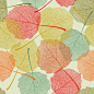 美丽的秋叶无缝背景矢量素材(2)