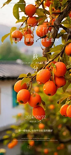编号：14820026245484257【享设计】源文件下载-秋分海报