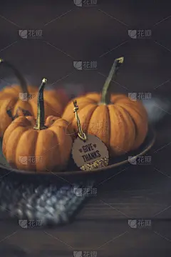 南瓜,消息,静物,婴儿,迷你南瓜,万圣节,十一月,垂直画幅,贺卡,褐色