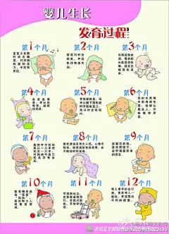婴儿生长发育过程图
