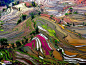 中国云南是拍摄水稻梯田的绝美之地