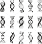 双螺旋DNA矢量图标