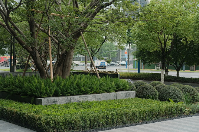 DSCF6779