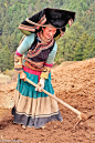 A Yi woman in a mortar board hat digging sod with a mattock near Fu He.