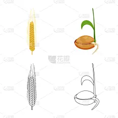 农业,分离着色,谷物,冬天,图像,农作物,种子,尖的,收集,设计