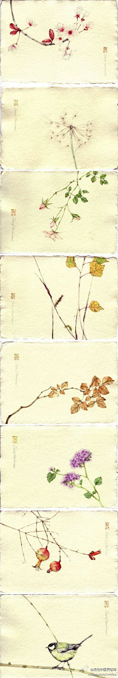 无·逻辑采集到指缝里的小确幸