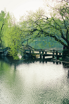 PlanC采集到风景