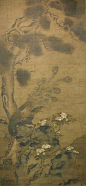 JP: After Zhu Duan (Chinese, act. ca. 1500–21). Peacock with Pine and Camellia, 1518. China.: 
