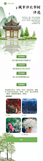 H5长页城市政务公益评比市树市花评投票活动