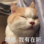 表情包_百度图片搜索