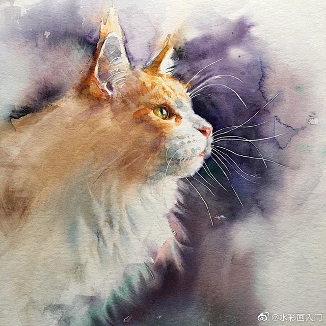 水彩猫咪 |ins：alisa_kali...