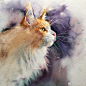 水彩猫咪 |ins：alisa_kalinovaart ​ ​​​​