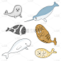 矢量,卡通,彩色图片,北极,水栖哺乳动物,可爱的,自然,海洋生命,图像,一角鲸