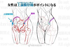 stella03采集到人体局部