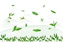 绿茶叶子茶叶嫩叶茶山矢量图