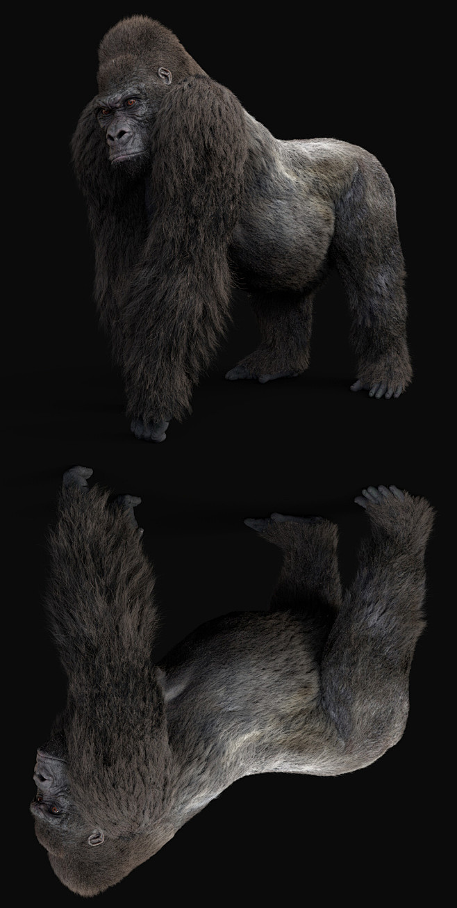 ドラゴンボール ベジータ 4 ギネが大猿に変身3Dモデル - 1758362