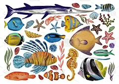 色彩斑斓的海洋生物水彩画，抽象的热带鱼。现代纹理插图孤立在白色背景。可用于海报，图标，横幅，印刷，纺