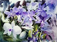 泰国艺术家 Adisorn Pornsirikarn 色彩浓厚的手绘水彩插画