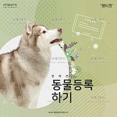 PSD狗狗宠物店大中小型犬爱心公益广告装饰海报模板设计素材ps138-淘宝网