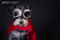 概念,演出服,影棚拍摄,眼镜,络腮胡子_170215984_Super Dog_创意图片_Getty Images China