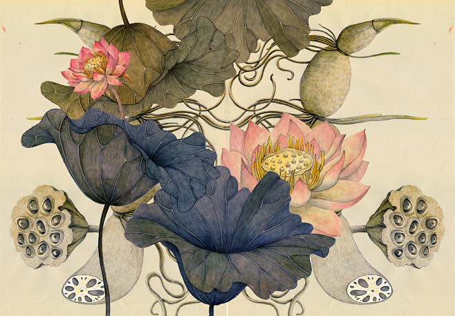 Lotus on Behance (3)