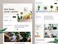 Bloomey - House plant shop website
