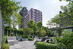 YR-ZM采集到X- 学校景观