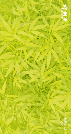 Rivaille丶采集到spine动态